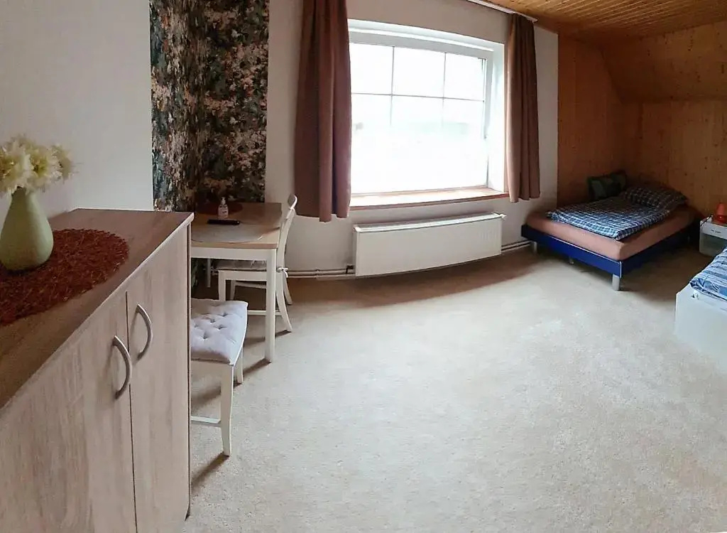 Standard Double room (twin beds)