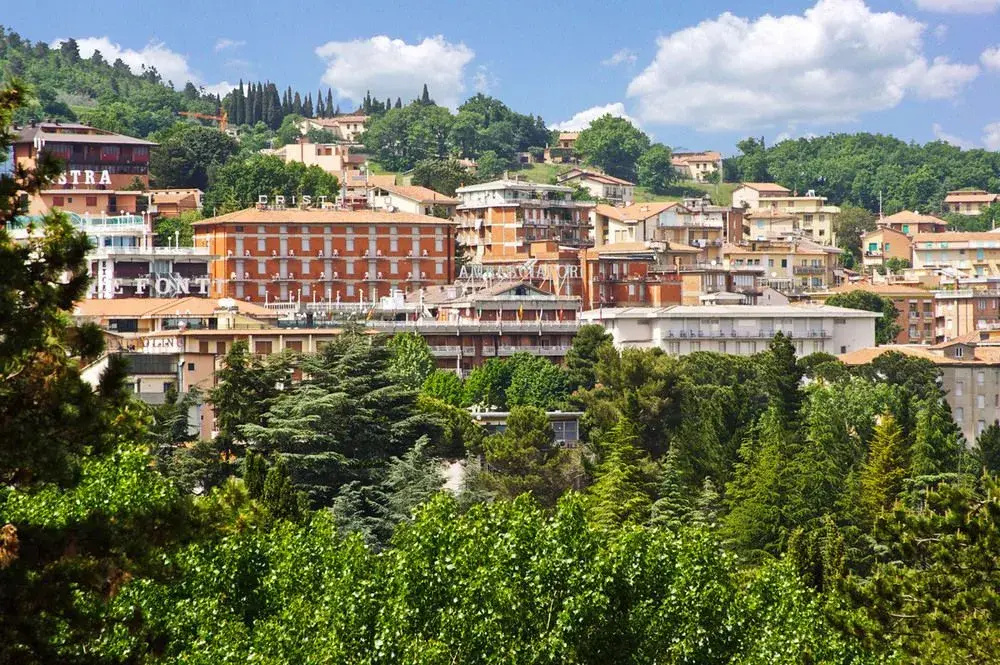 Hotel Massarelli - Général