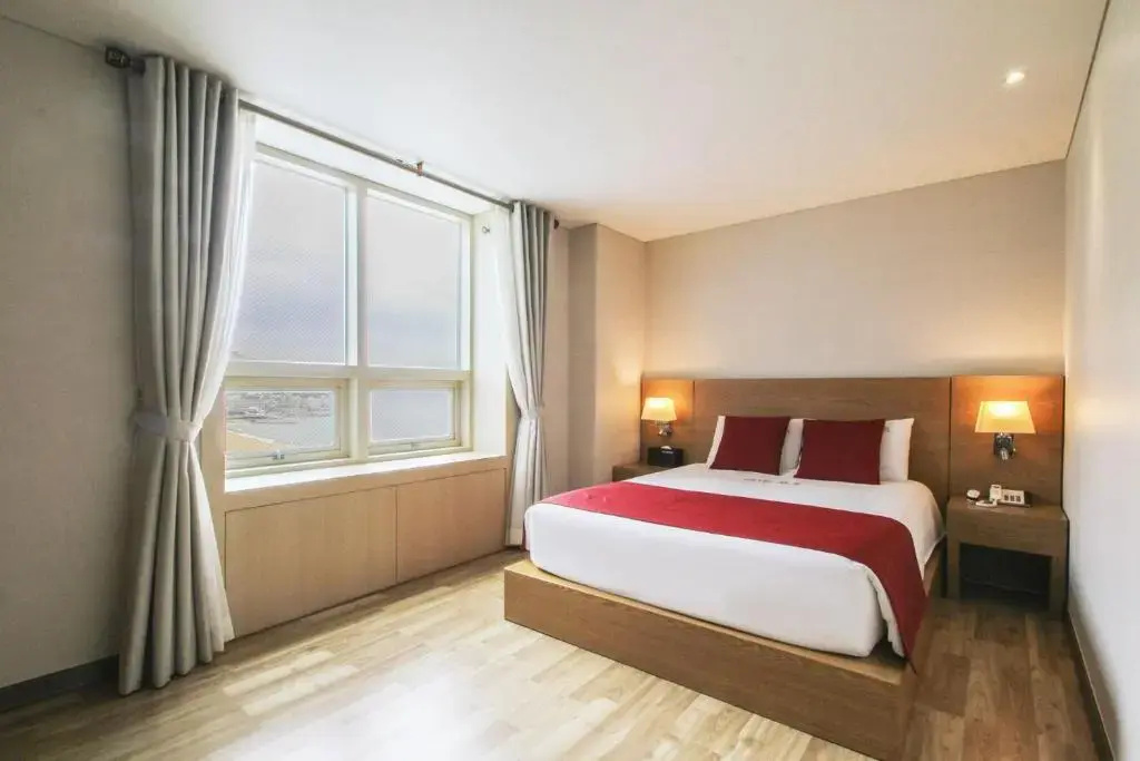 Standard Double room with city view (full double bed)