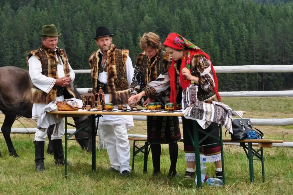 Casa Plai din Bucovina - фото 20