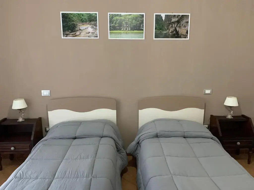 Standard Double room (twin beds)