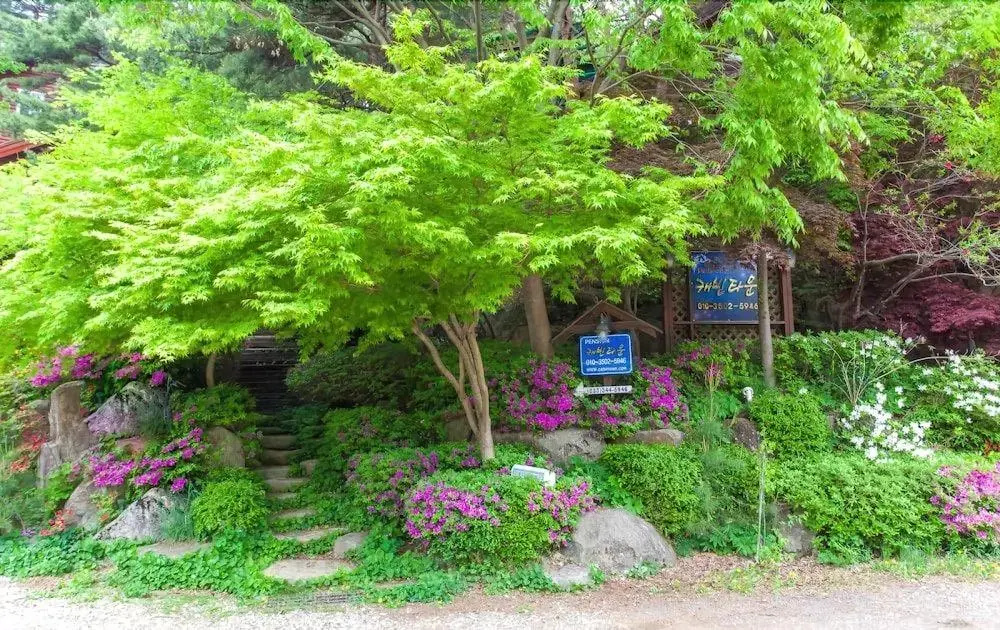 Cabin Town Pension