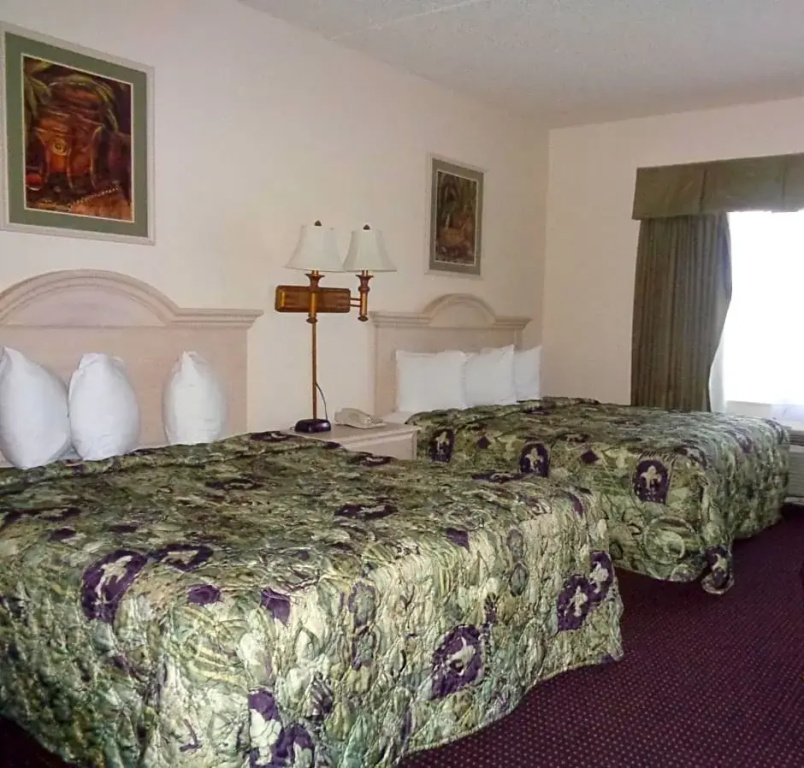 Allure Suites - Chambres
