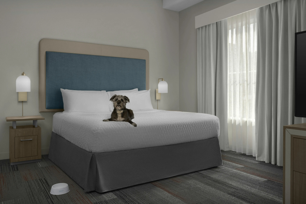 Homewood Suites by Hilton Birmingham-SW-Riverchase-Galleria - Général