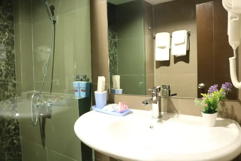 Deluxe Double room (twin beds)