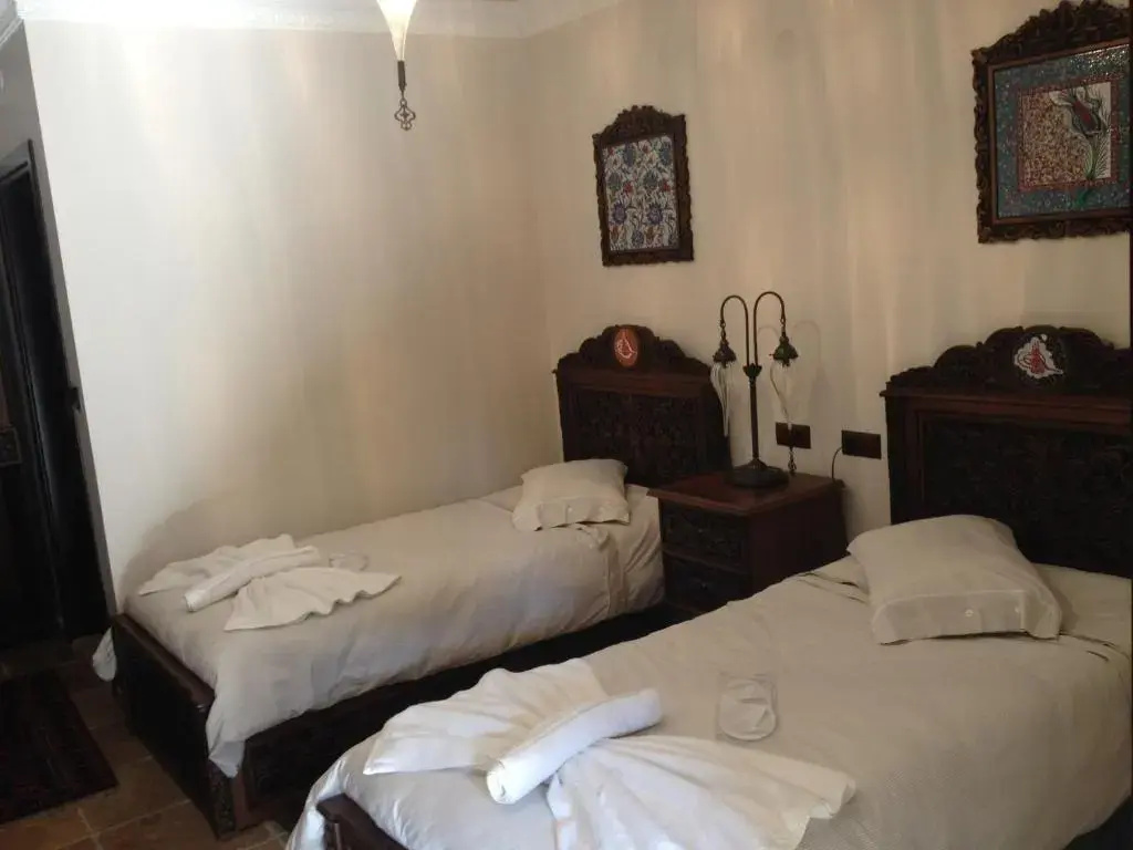 Standard Double room (twin beds)