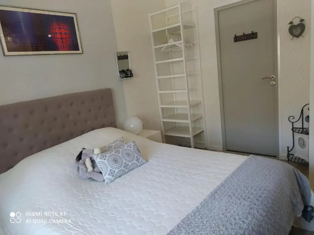Standard Double room with garden view (full double bed)