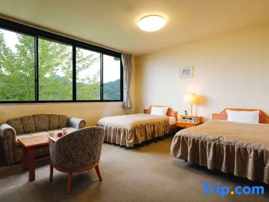 Standard Double room with mountain view (twin beds)