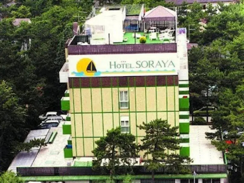 Hotel Soraya - Général
