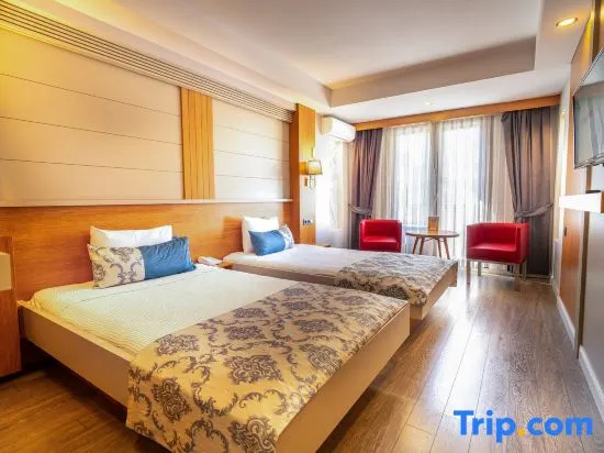 Standard Double room (twin beds)