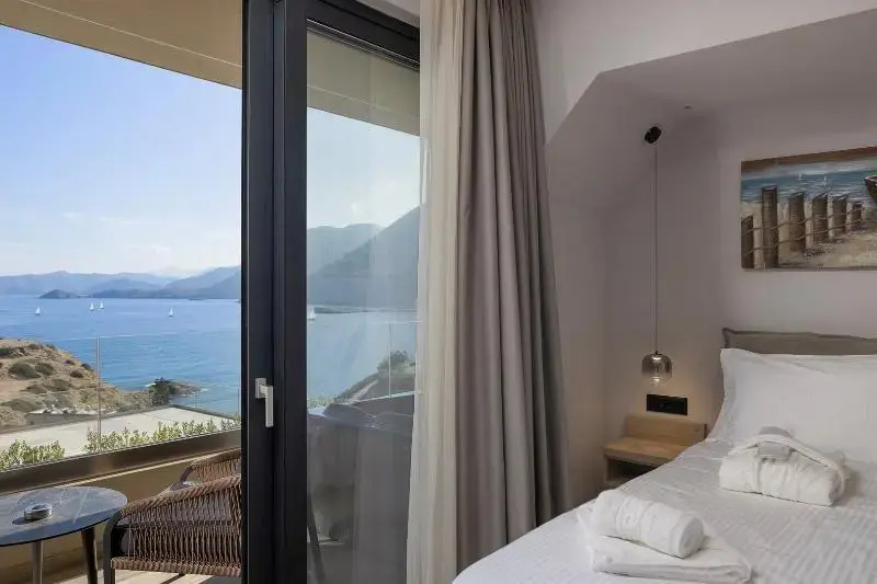 Standard Double room with view (full double bed)