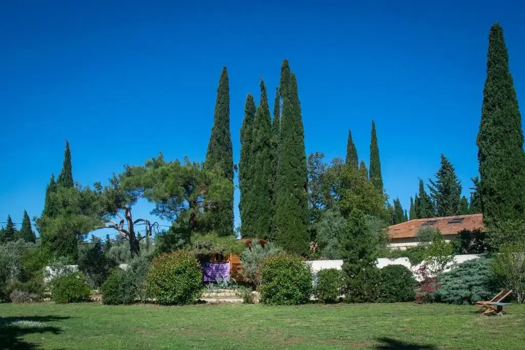 Vintage Provence