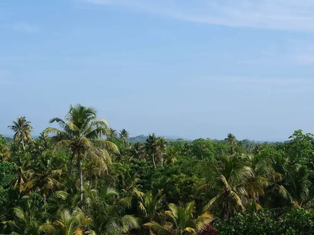 Coast67 Hotel - фото 27