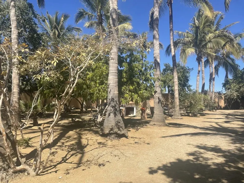 glamping las palmas