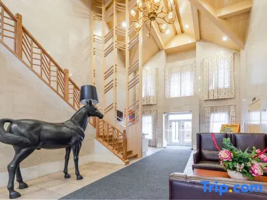 Lobby & Reception