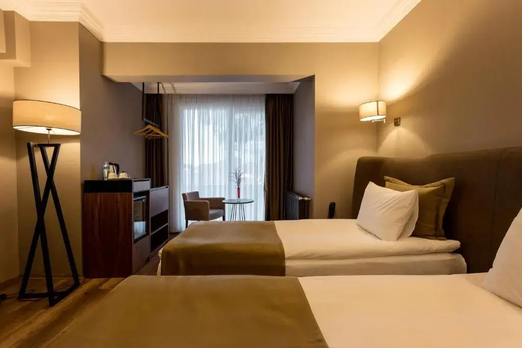 Standard Double room with sea view (twin beds)
