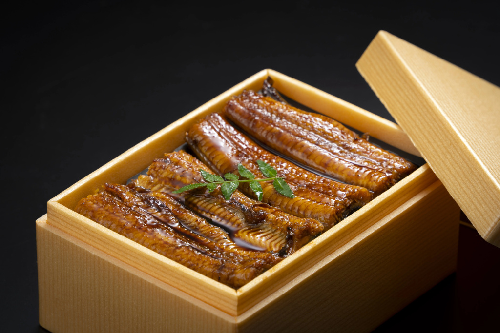ANA Crowne Plaza Fukuoka by IHG - Général