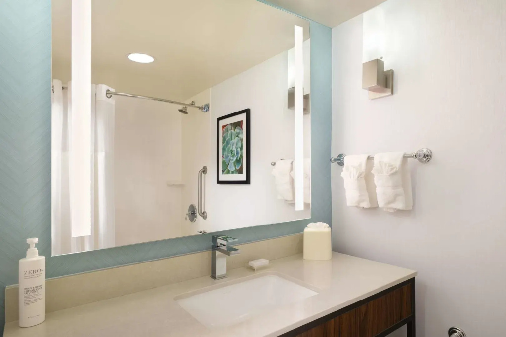Hilton Garden Inn Houston/Bush Intercontinental Airport - Général