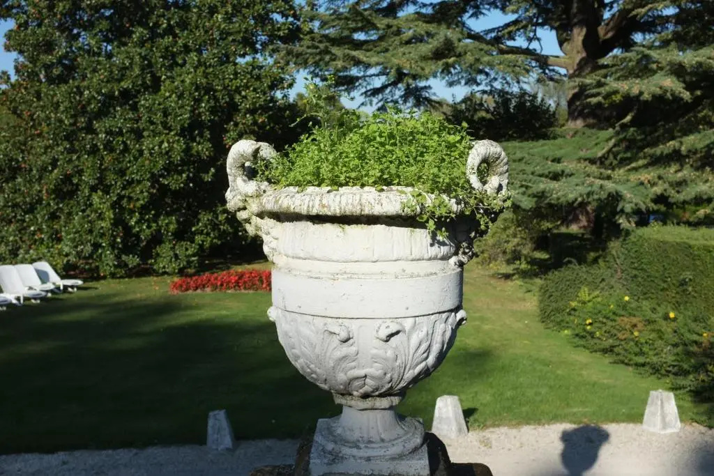 Château de Beaulieu et Magnolia Spa, The Originals Relais - Chambres