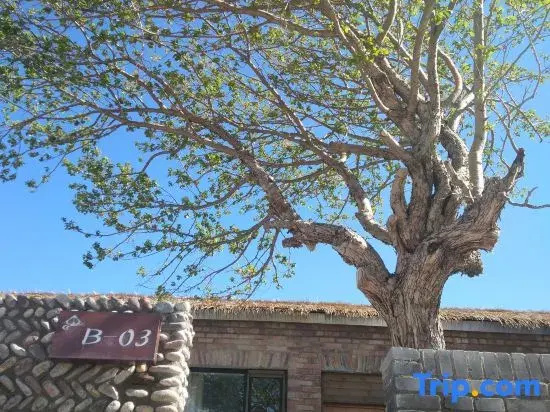 Xinyi Self-driving Camp Nalati East gate