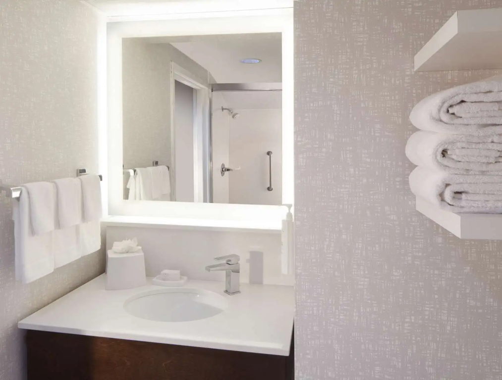 Hampton Inn & Suites Atlanta Airport North I-85 - Chambres
