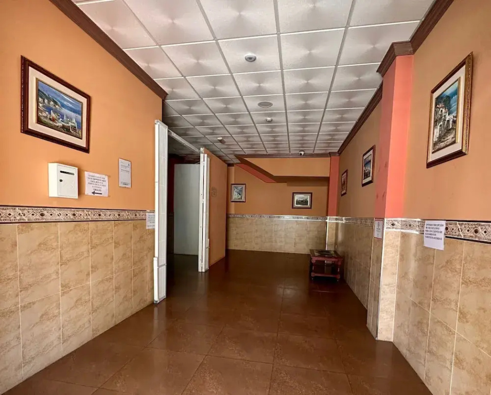 Hotel Avenida - фото 8