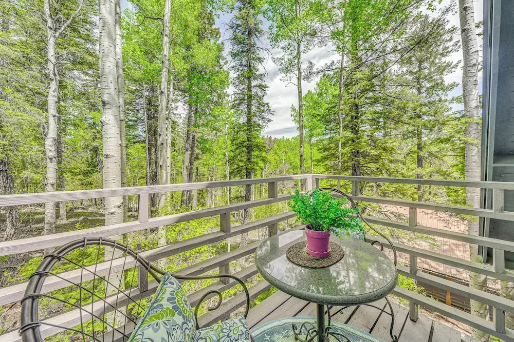 Quaint Cloudcroft Cabin w/ Stunning Forest Views! - фото 12