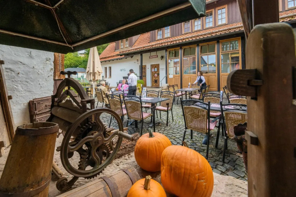 Gasthaus Goldener Hirsch - Général