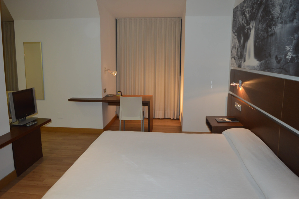 Hotel Spa Odeón - Général
