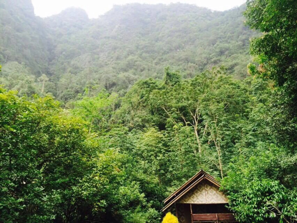 Khaosok Green Mountain View