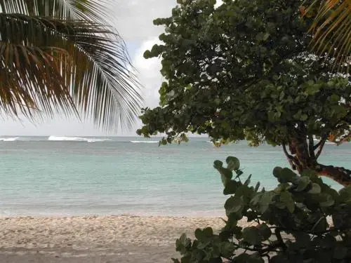 Beach & Waterfront