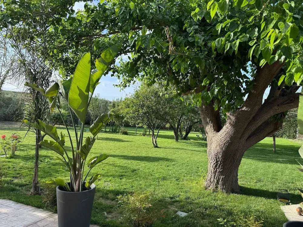 Hotel photo 29