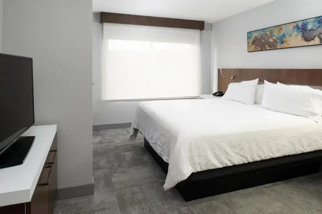Hilton Garden Inn Baton Rouge Airport - Général