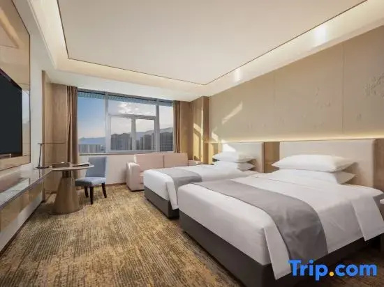 Deluxe Double room with city view (twin beds)