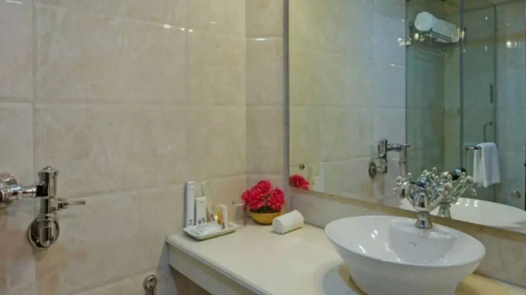 Hotel Baljees Regency - Chambres
