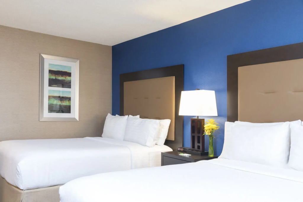 Holiday Inn Chicago - Elk Grove - Général