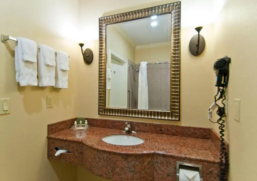Wyndham Lake Charles Hotel - Chambres
