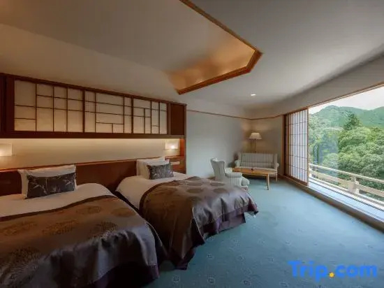 Deluxe Double room (twin beds)