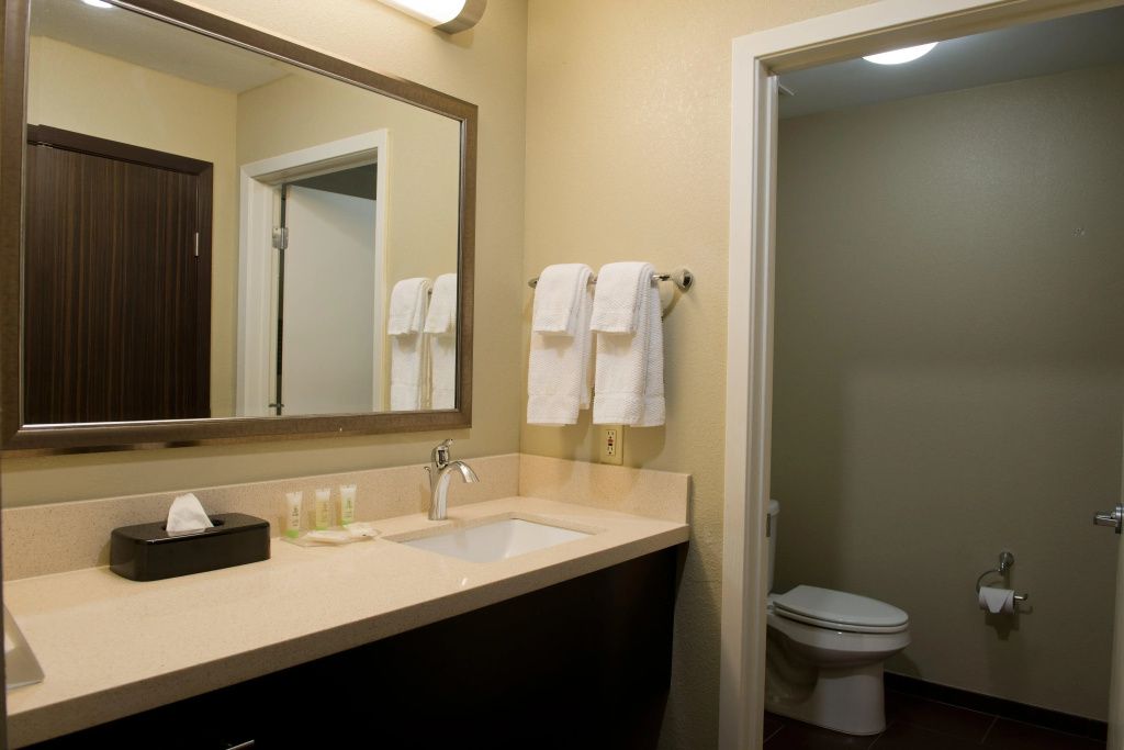 Staybridge Suites Houston NW/Willowbrook - Général