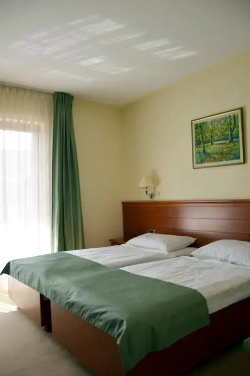Standard Double room with balcony (full double bed)