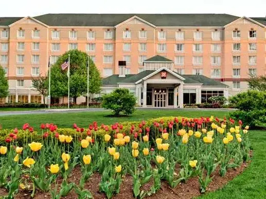 Hilton Garden Inn Albany Airport - Chambres