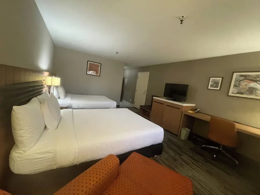 Hotel photo 10