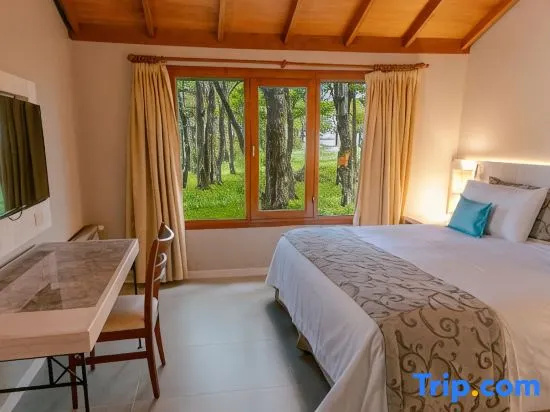 Standard Double room with land view (full double bed)