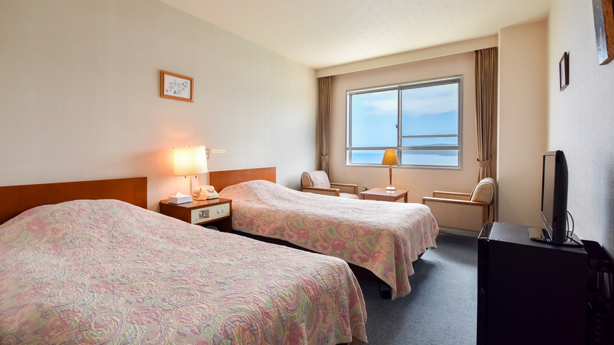 Standard Double room (twin beds)