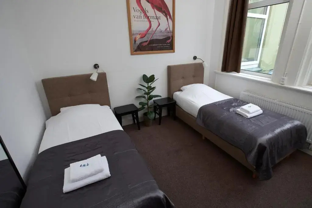Standard Double room (twin beds)