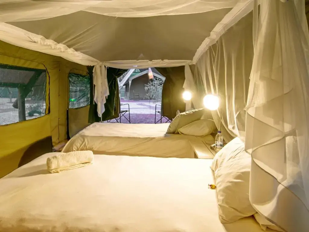 Tent