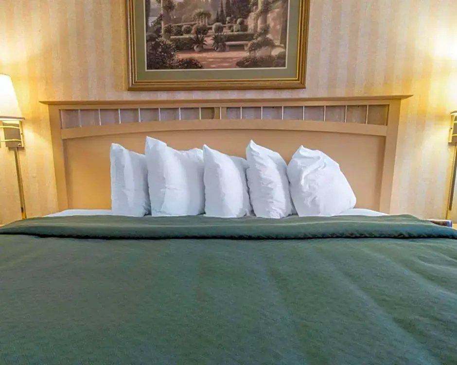Comfort Inn - Chambres