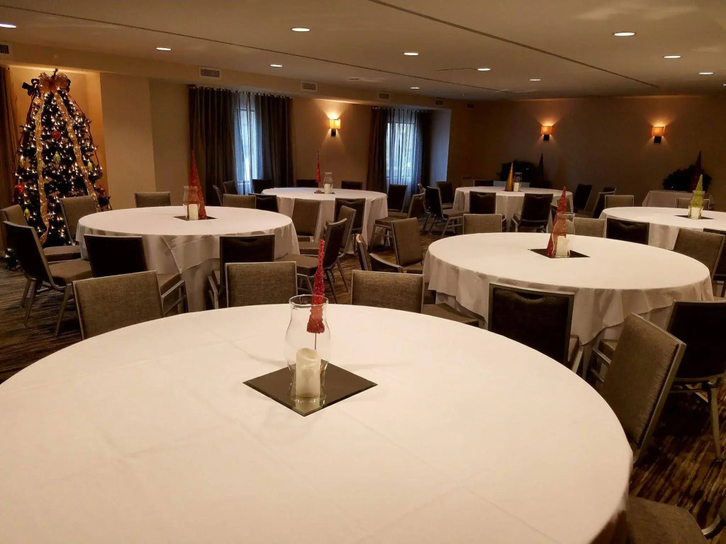 Holiday Inn Irving Las Colinas by IHG - Général