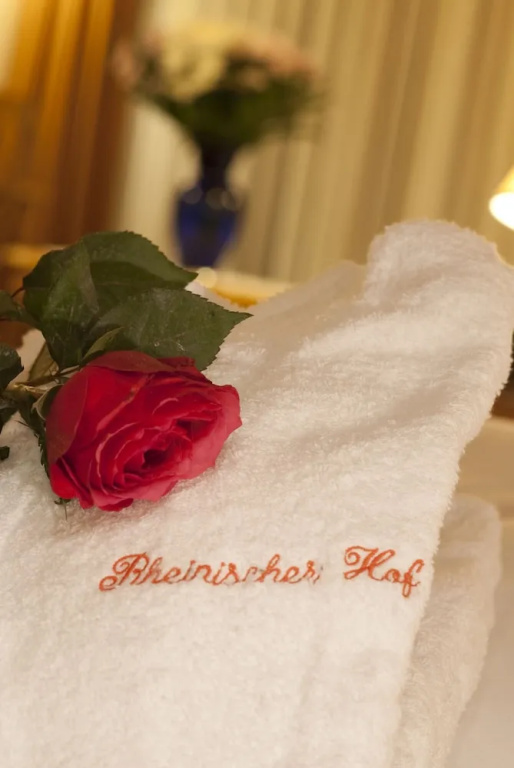 Hotel Rheinischer Hof - Chambres
