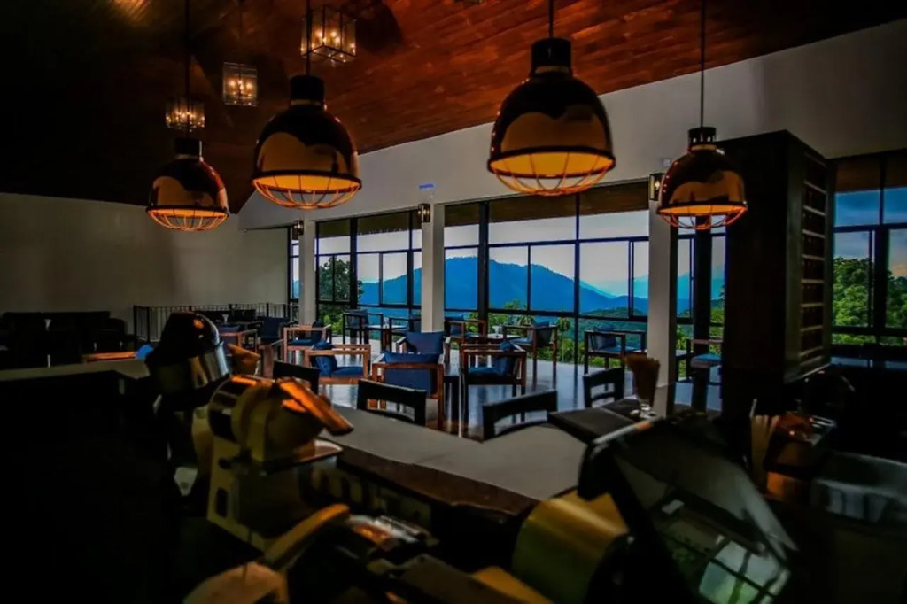 Simpson's Forest Hotel - фото 21